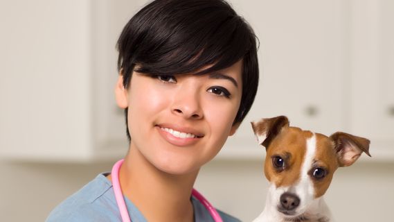 vet nursing