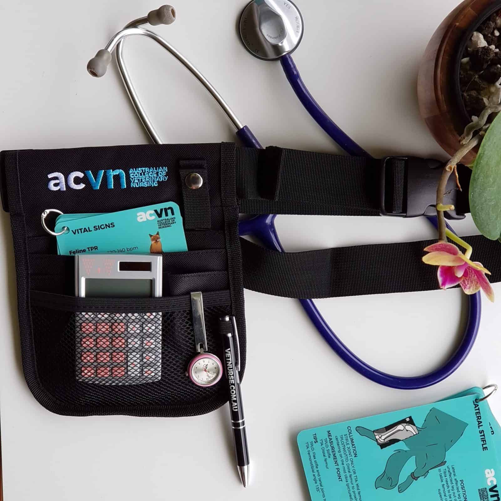 ACVN Nurse's Pouch Australian College of Veterinary Nursing