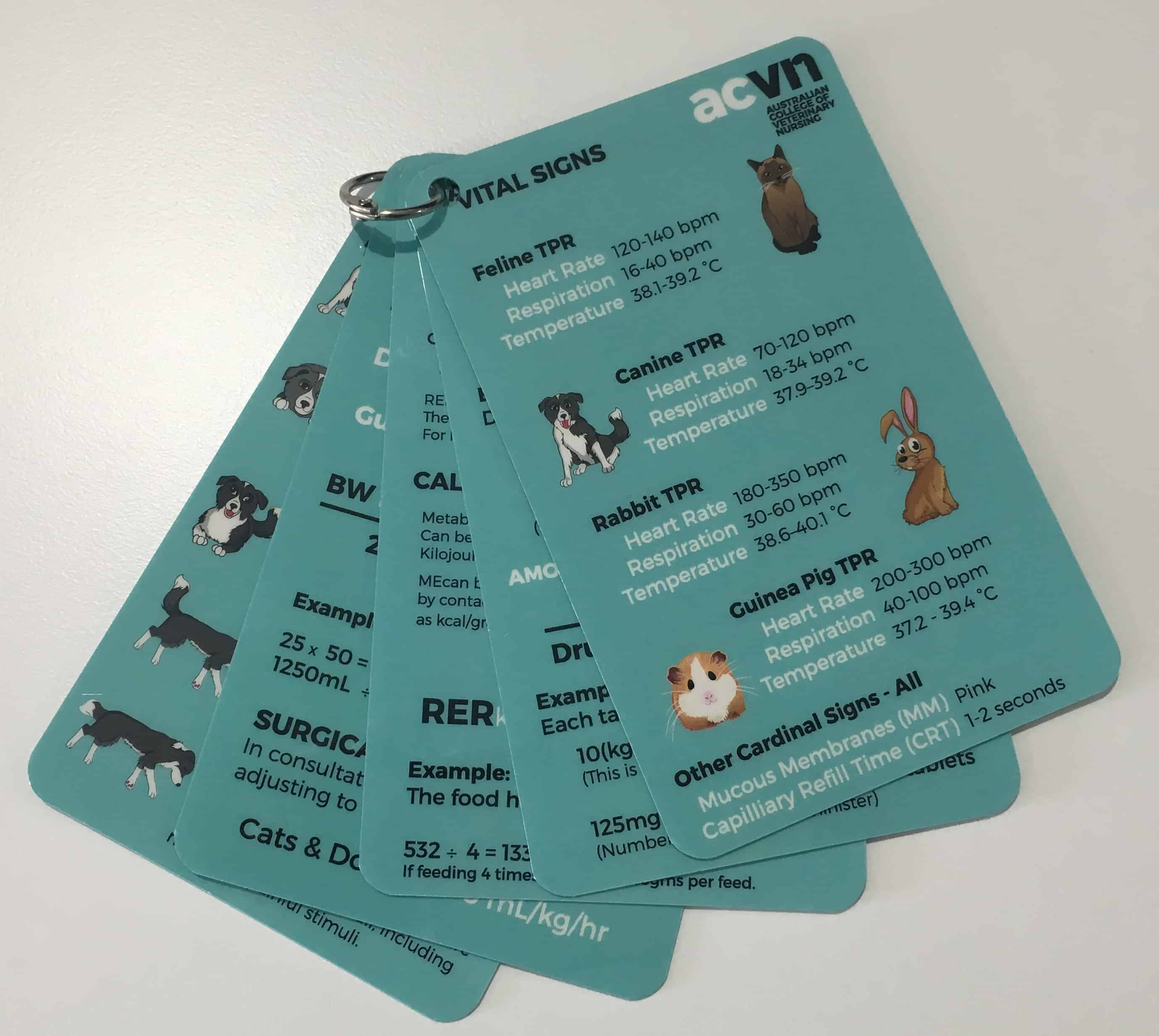 acvn-crib-cards-australian-college-of-veterinary-nursing