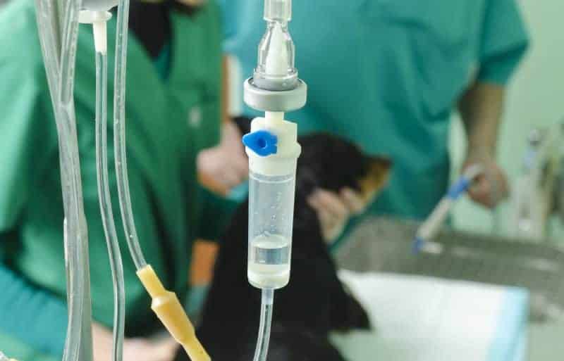 Fluid Therapy for Veterinary Nurses