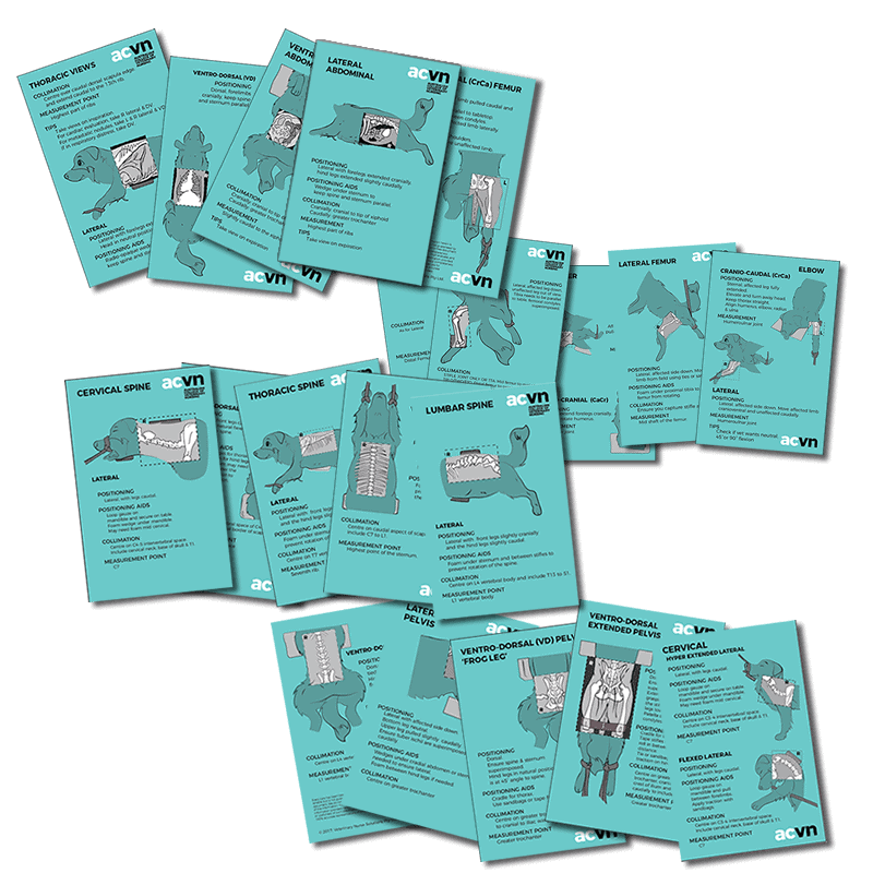 ACVN Radiology Crib Cards BOTH SETS SAVE Australian College of