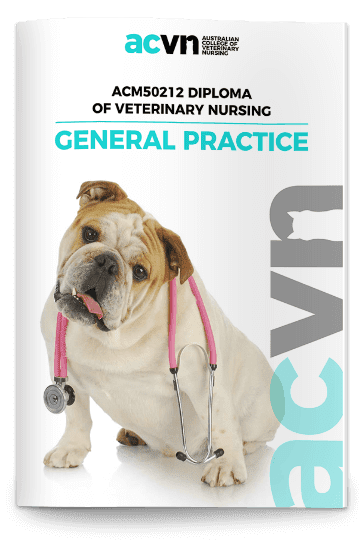 veterinary-nursing-qualifications-study-with-the-experts