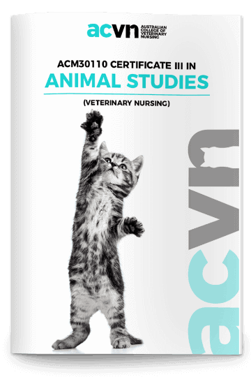 ACM30110 Certificate III in Animal Studies (Veterinary Nursing) Brochure Cover