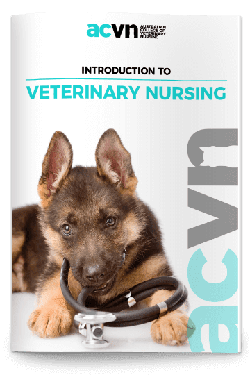 Intro to Vet Nursing Brochure Cover