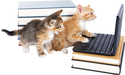 Kittens with laptop