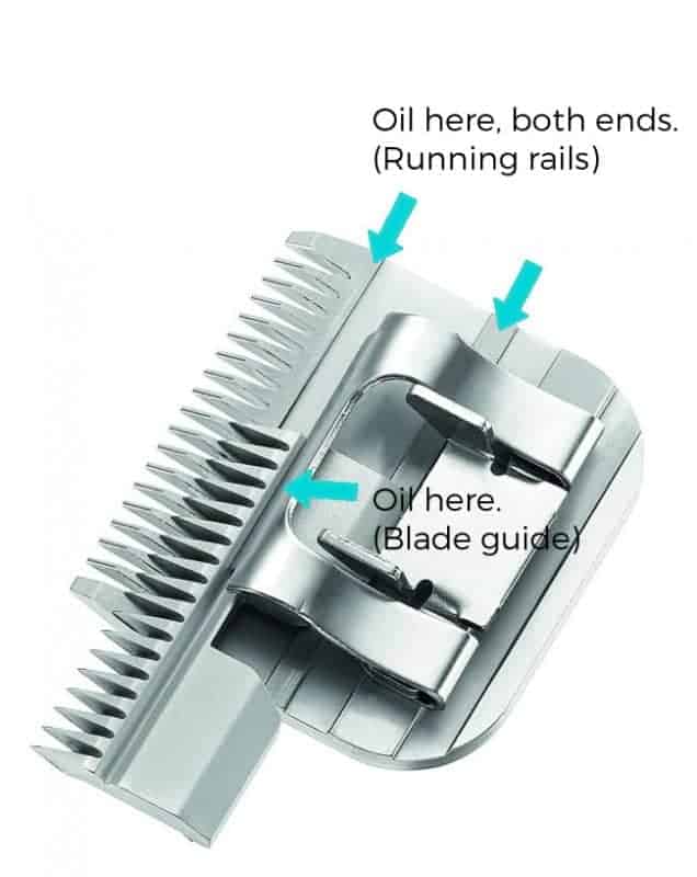 Clipper Blades 5 tips for better care Veterinary Nursing ACVN