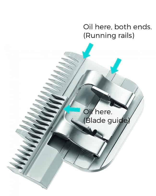 clipper blade oiling points