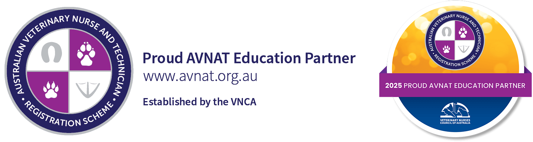 AVNAT Logo