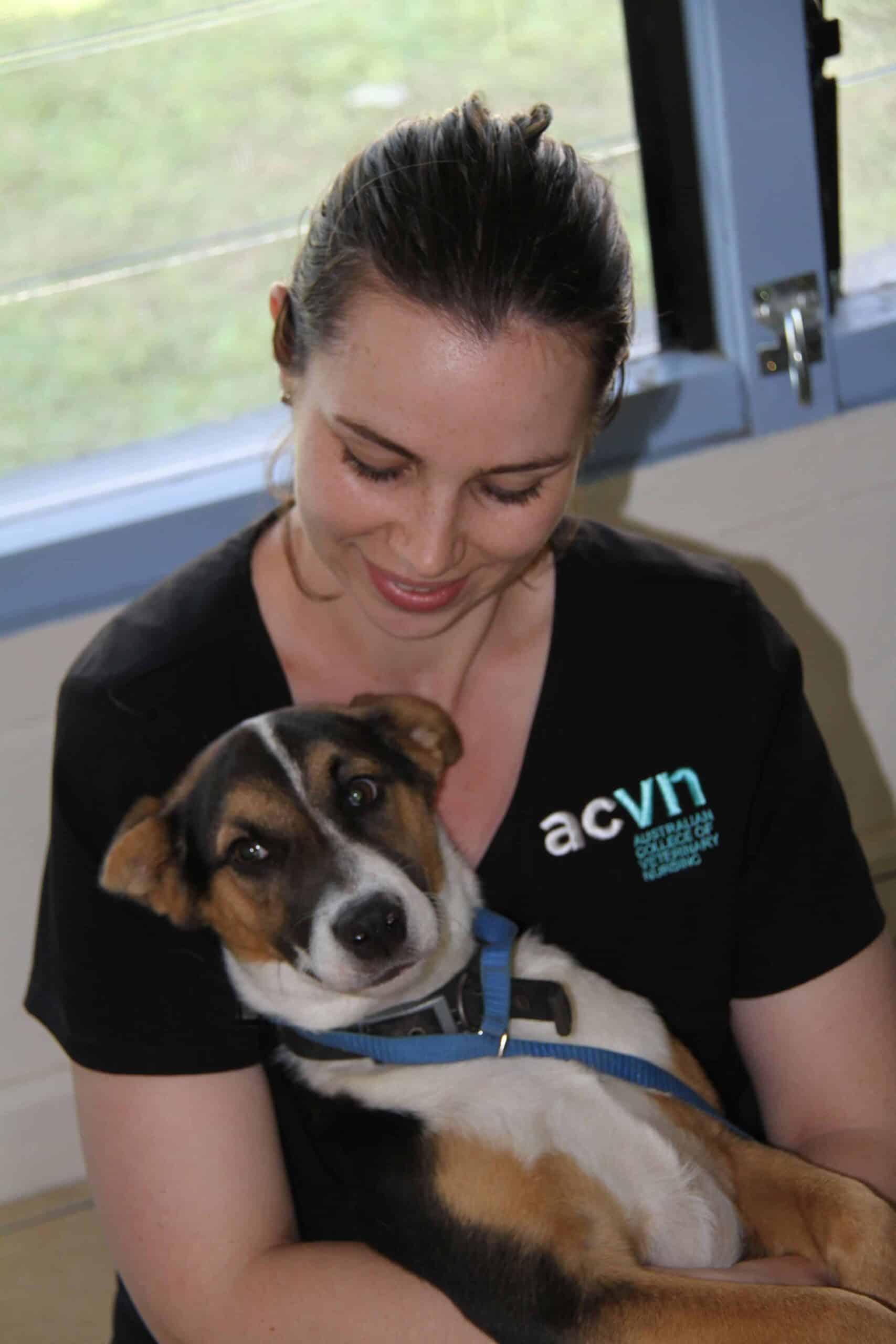 Veterinary Nursing Courses: Certificate IV in Veterinary Nursing with ACVN Veterinary Nursing Courses: Certificate IV in Veterinary Nursing with ACVN