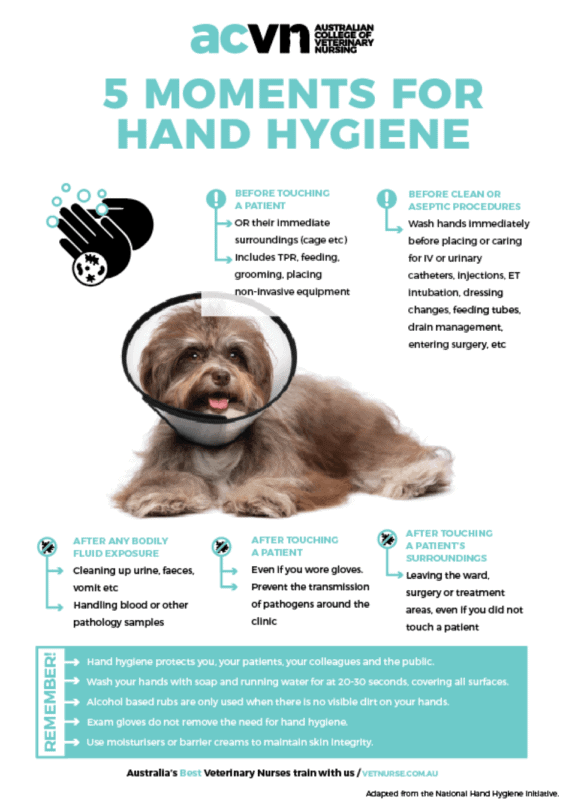 Hand Hygiene Australian College of Veterinary Nursing