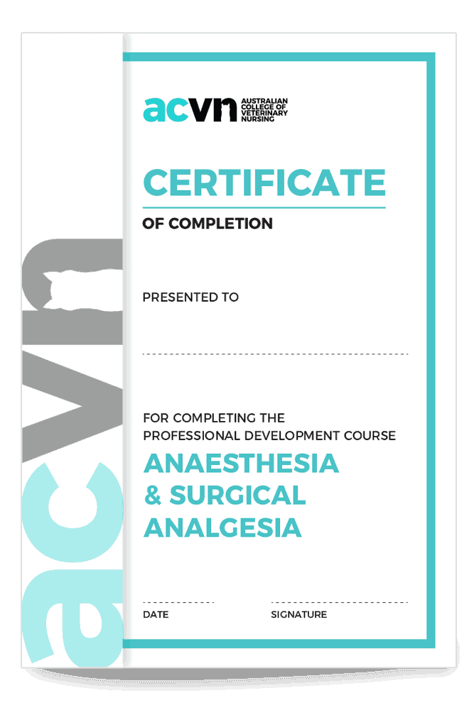 Enrol Today Australian College Of Veterinary Nursing enrol-today-australian-college-of-veterinary-nursing