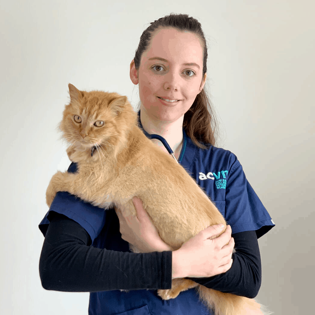 ACVN Student Named as VNCA’s Student Vet Nurse of the Year 2020