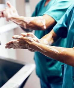Sterile field maintenance in veterinary nursing training at Australian College of Veterinary Nursing.
