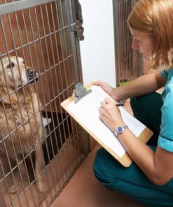 Advanced Nursing Care