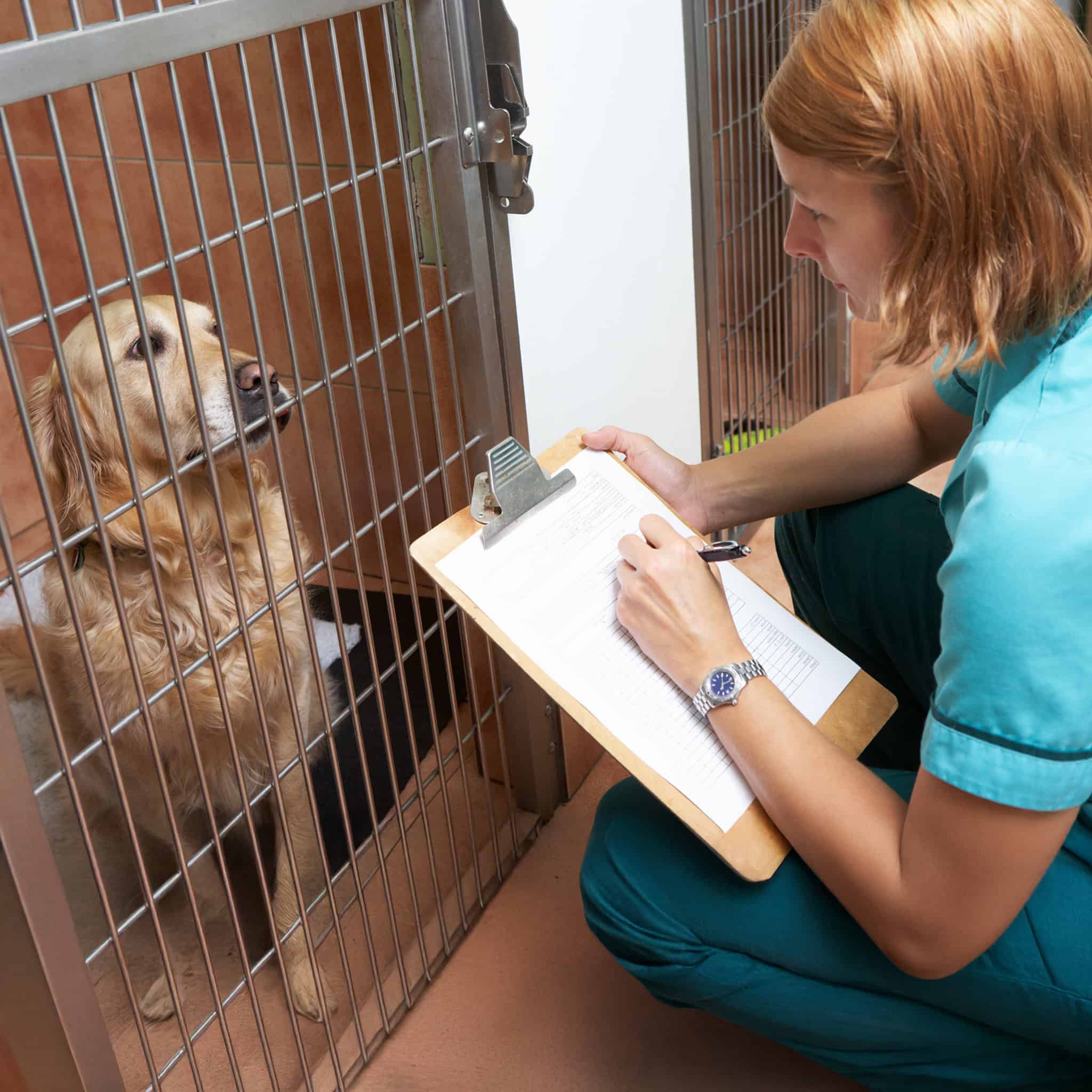 Advanced Nursing Care