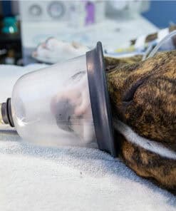 Every Breath You Take - Introduction to Setting Up for Anaesthesia