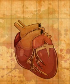Chambers of Secrets - Unlocking the Cardiovascular Labyrinth