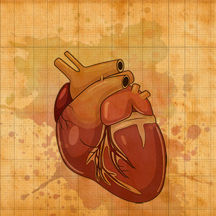 Chambers of Secrets - Unlocking the Cardiovascular Labyrinth