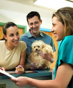 Say What? Talking With Clients and Your Team