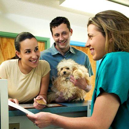 Say What? Talking With Clients and Your Team